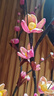 兆族 葉脈干花仿真花假花客廳落地大號花瓶假花梅花室內玄關(guān)裝飾花永生花藝葉脈插花套裝 粉紅色梅花不含瓶 曬單實(shí)拍圖