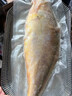 昕品方黃花魚(yú)鎖鮮大黃魚(yú)深海速凍國產(chǎn)東海大黃花魚(yú)生鮮魚(yú)類(lèi)海鮮禮盒水產(chǎn) 【優(yōu)選品質(zhì)推薦款】5條大黃魚(yú) 1斤左右1條 曬單實(shí)拍圖