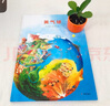 漂流瓶繪本館-來自倫勃朗和梵高故鄉(xiāng)的圖畫書-黃氣球 曬單實(shí)拍圖