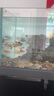 森森（SUNSUN）原生態(tài)溪流缸魚缸造景家用原生缸客廳超白玻璃底濾魚缸包安裝 靜謐黑-專業(yè)款 升級底濾（雙重滴濾盒） 1.2米長47.6cm寬40cm缸高+85cm柜高 曬單實(shí)拍圖