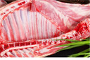 鹽灘記羊肉 寧夏灘羊肉 新鮮現殺20斤整半只 中秋生鮮禮盒源頭直發(fā) 曬單實(shí)拍圖