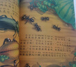 笨狼的故事 法布爾昆蟲記 小巴掌童話 等 注音版 兒童文學小學生課外閱讀書籍童書新華正版： 法布爾昆蟲記全套10冊 彩圖注音版 曬單實拍圖
