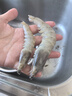 大黃鮮森湛江大蝦鮮活超大國產(chǎn)白蝦速凍新鮮海捕冷凍海鮮基圍蝦對蝦商用 （2030） 1.5kg(凈重)  1盒裝 【3斤】 曬單實(shí)拍圖