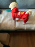 嬉皮狗（hipidog）牽引新年小狗狗四腳拜年衣服秋冬款雪納瑞比熊小型犬寵物泰迪冬季 福字口袋 L（建議8-11斤） 曬單實(shí)拍圖