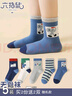 六指鼠兒童襪子秋冬季女童中大童小孩學(xué)生厚棉襪女孩女寶寶春秋中筒襪 66A櫻桃小園?。ˋ類(lèi)品質(zhì)） 5雙 均碼 建議鞋碼37-42碼標加大碼 曬單實(shí)拍圖