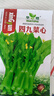 四九菜心種子四季甜菜心籽廣東菜苔種籽農(nóng)家盆栽陽(yáng)臺(tái)蔬菜種子大全 四九菜心種子【1包 約500?！?曬單實(shí)拍圖