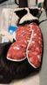 嬉皮狗（hipidog）大狗狗衣服喜氣新年滿印馬甲中大型犬金毛拉布拉多邊牧衣服秋冬季 德羅紅（醒獅錦鯉） 3XL （建議體重20-30斤） 曬單實(shí)拍圖