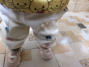 迪士尼（Disney）女童褲子春秋款2025新款寶寶長(cháng)褲休閑時(shí)髦嬰幼兒衛褲兒童運動(dòng)褲潮 杏色不加絨 80 適合身高65-75cm 16-20斤 曬單實(shí)拍圖