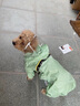 柯基雨衣四腳防水包雨披中小型犬雨天寵物雨傘狗狗下雨專(zhuān)用衣服 潮酷涂鴉牽引雨衣 帶牽引扣 XS：背長(cháng)35cm建議6-10斤不含牽引 曬單實(shí)拍圖