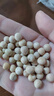 大豌豆粒生的新干豌豆食用農(nóng)家白豌豆干貨半斤5斤碗豆批發(fā)10斤 5斤白豌豆（新貨推薦） 曬單實(shí)拍圖