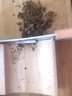 溥畔藥材切片機(jī)家用小型切片神器商用手動鹿茸靈芝西洋參切片機(jī)閘刀 小號切片機(jī) 曬單實拍圖