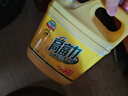浪奇高富力經(jīng)典全效洗潔精廚房洗碗去油清新祛味1.15kg*3瓶家庭裝 1.15kg*3瓶 曬單實拍圖