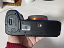 索尼/Sony A7 A7R2 A7R4 A7M2  A7M4 A7C全畫幅二手微單 4K直播相機 索尼A7R2【A7RII單機身】 【準(zhǔn)新】 曬單實拍圖