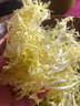 綠食者 新鮮黃心苦菊500g 苦葉生菜苦細葉苦苣狗牙生菜西餐沙拉蔬菜食材 曬單實拍圖