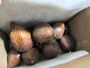 蛇皮果印尼蛇皮果5斤新鮮水果進(jìn)口熱帶稀有記憶果順豐 2斤 曬單實(shí)拍圖