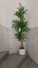 臨雅南天竹仿真綠植室內大型盆栽高端輕奢假花樹(shù)客廳仿生植物落地擺件 1.8米丨四桿南天竹+半圓形白盆 曬單實(shí)拍圖