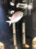 A30KY英國大白片內外寄生蟲(chóng)魚(yú)用水族觀(guān)賞魚(yú)龍魚(yú)錦鯉頭洞腸炎腹水殺蟲(chóng)藥 內寄【15片*1瓶】+外寄【15片*1瓶】 曬單實(shí)拍圖