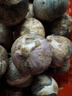 辰實【新干蒜】新鮮紫皮大蒜 云南獨頭蒜三瓣蒜 大蒜農(nóng)家蔬菜臘八蒜 1.8斤（獨頭蒜）個大 曬單實拍圖