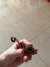 斐月伽把把壺胡麻將麻友手玩件綠檀木手把件男士隨身掛件鑰匙扣 綠檀把把壺 鑰匙扣香丸款 曬單實(shí)拍圖