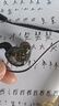 北極鳥(niǎo)X2耳機(jī)有線入耳式游戲式吃雞type-c接口聽(tīng)聲辯位CSGO帶麥電競(jìng)CF適用華為小米12紅魔7S黑鯊5紅米K50 TYPE-C升級(jí)掛耳游戲耳機(jī)丨黑色 曬單實(shí)拍圖
