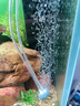 老漁匠增氧泵釣魚(yú)專(zhuān)用戶(hù)外便捷式充電款靜音氧氣泵小型魚(yú)缸充氧打氧機 【續航61H氣量可調】紅透款 單孔氣石套餐 曬單實(shí)拍圖
