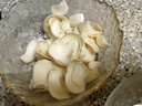 沛盛10年生蘭州百合新鮮甘肅蘭州鮮百合特產(chǎn)食用甜百合真空禮盒包裝 10年生 3斤約12顆 曬單實(shí)拍圖