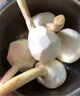良知農哥 【順豐可選】 云南新鮮大號白茨菇 茨菰慈姑 慈菇 慈菰 健康輕食 5斤大號丨順豐冷鏈 曬單實拍圖