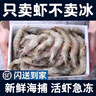 【順豐快遞】蝦 青島大蝦白蝦鮮活新鮮特大海鮮水產(chǎn)蝦子蝦米冷凍 16-18厘米  2.8- 3斤(凈重)  帶箱4斤【高品質(zhì)】 曬單實(shí)拍圖
