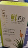 安安金純鮮蘆薈深層補(bǔ)水潤膚露保濕乳液擦臉油男女秋冬季護(hù)膚品125g 125g 曬單實拍圖