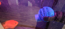 森森 魚(yú)缸造浪 水族箱沖浪泵 清理魚(yú)糞便 磁鐵造流打浪泵 JVP-133配120-150cm魚(yú)缸16W 曬單實(shí)拍圖