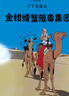 【正版直發(fā)】丁丁歷險(xiǎn)記 全套22冊(cè) 非注音版7-12歲小學(xué)生 卡通漫畫書丁丁在剛果 美洲 比利時(shí)漫畫大師埃 熱課外閱讀故事繪本書 中國(guó)少年 出版社 丁丁歷險(xiǎn)記（全22冊(cè)） 曬單實(shí)拍圖