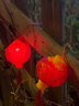 菲享 太陽能燈籠彩燈氛圍燈紅燈籠燈串家用戶外庭院春節(jié)過年裝飾掛件 插電款+8功能閃爍模式 5米20燈 【雙層炫彩+高續(xù)航長壽命+遙控】 曬單實(shí)拍圖