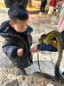 杰賦杰賦小羊【廠家直營 下單送大禮】純羊嬰幼兒配方羊奶粉3段400克 12-36月齡 3段 400g1罐 曬單實拍圖