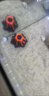 寵小帥天然扇貝殼魚缸造景海洋世界裝飾品海螺水族箱擺件貝殼斗魚缸造景 天然扇貝殼【3個】 曬單實拍圖