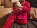babylove嬰兒連體衣春秋純棉中國紅衣服滿月寶寶拜年衣服哈衣爬服福順平安 福順平安中國紅 80cm 曬單實(shí)拍圖