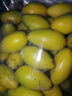 粵品廣東正宗潮汕橄欖果新鮮生吃特產(chǎn)水果泡酒煲湯非甜種青橄欖 2號橄欖1斤（生吃推薦） 果熟了黃色-原味不甜 曬單實(shí)拍圖