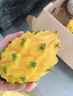 沃鮮谷【順豐】麒麟果 黃色火龍果 燕窩果 新鮮水果禮盒 2斤中果6個(gè) | 精品禮盒 曬單實(shí)拍圖