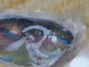 鹿凌青 海南海捕冰鮮青衣魚(yú) 珊瑚魚(yú) 彩眉魚(yú) 海鮮魚(yú)套餐 雜魚(yú)生鮮魚(yú)類(lèi) [青衣魚(yú)]2斤(1-3條)順豐空運 曬單實(shí)拍圖