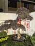 盛夏時光 大紅植絨燈籠串掛飾春節(jié)場景布置植絨小燈籠串商場新年裝飾掛件 【全紅】小號燈籠五連串 曬單實拍圖