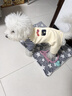 嬉皮狗（hipidog）秋冬季狗狗衣服可愛(ài)卡通四腳衣中小型犬博美泰迪小狗衛(wèi)衣貓咪衣服 藏青色條紋（建議拍大一碼） L（建議體重8-11斤） 曬單實(shí)拍圖