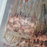 杞樂(lè)康 寧夏灘羊肉 原切羊肉卷羊蝎子羊毛肚套餐組合 火鍋燉煮食材 清真 羊肉串60串/1200g 曬單實(shí)拍圖