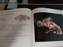 中國沿海魚(yú)類(lèi)（第2卷） 曬單實(shí)拍圖
