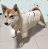 小凍狗狗牽引棉衣可愛(ài)小熊保暖加厚秋冬季衣服小型犬比熊泰迪寵物服飾 咖色小熊 XXL（建議體重15-20斤） 曬單實(shí)拍圖