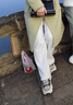 皮爾卡丹（pierre cardin）窄版闊腿褲女秋冬季2024新款高腰加絨雪尼爾休閑褲加絨加厚直筒褲 白色 加絨 L 100-115斤 曬單實(shí)拍圖
