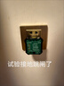 世達（SATA）驗電器插座相位檢測儀電源地線(xiàn)零火線(xiàn)極性試電插頭檢測器 10A【一插即測】（家庭通用） 曬單實(shí)拍圖