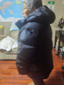 君羽戶外羽絨服男新款加厚冬款800蓬白鵝絨防寒保暖鵝絨服H52315 黑色 XL 推薦男161-175斤 曬單實拍圖