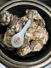 鹿凌青【鮮活】生蠔 特大牡蠣海蠣子 生鮮年貨禮盒 海鮮水產(chǎn)貝類(lèi) 【鮮活生蠔】2-3個(gè)/斤 【品嘗】3斤裝 曬單實(shí)拍圖