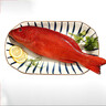 鱘食 海捕東星斑魚(yú) 鮮活冷凍石斑魚(yú)生鮮魚(yú)類(lèi)節日送禮佳品 海捕東星斑 1600-1800g/條 曬單實(shí)拍圖
