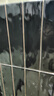 榮耀Magic V Flip 新款小折疊屏 4.0英寸大外屏 單反級(jí)寫真相機(jī) 12+1TB 鳶尾黑 國(guó)家補(bǔ)貼 5G AI手機(jī) 曬單實(shí)拍圖