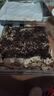 阿源餅屋黑森林巧克力蛋糕盒裝動(dòng)物奶油下午茶零食甜點(diǎn)早餐面包甜品糕點(diǎn) 黑森林巧克力蛋糕450g/盒 曬單實(shí)拍圖